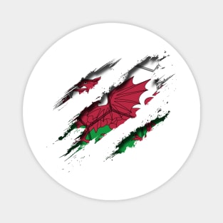 Wales Football Magnet